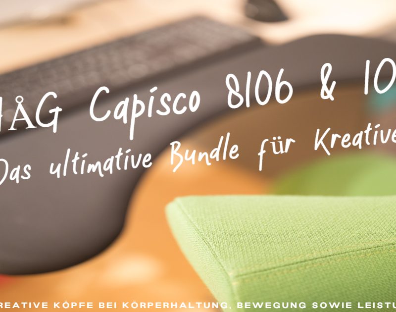 HÅG Capisco 8106 & IOE