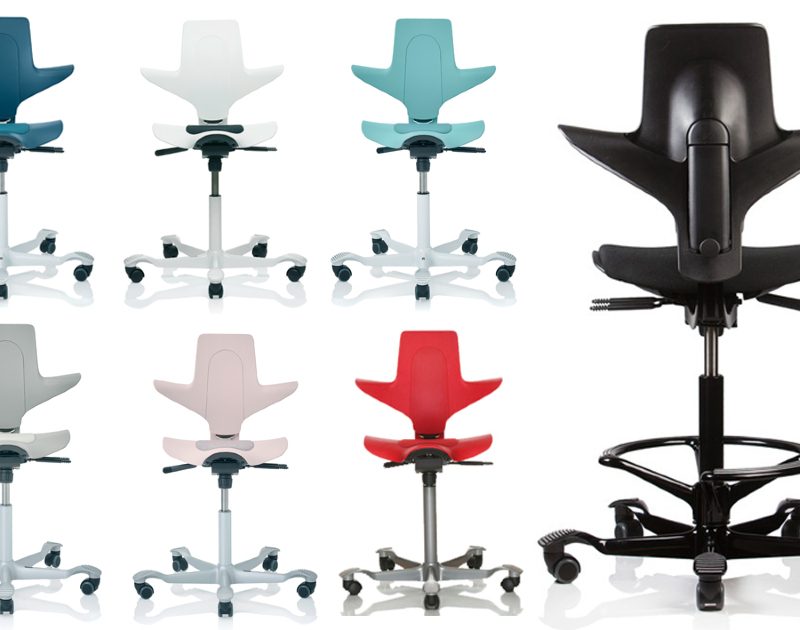 HÅG Capisco Puls sitz-art®