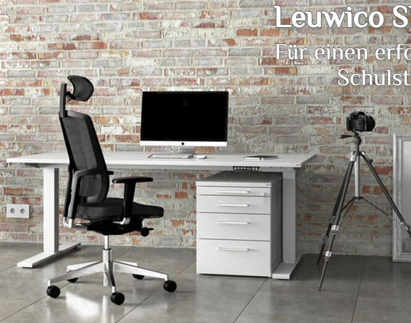 Leuwico SPINE 3 sitz·art®