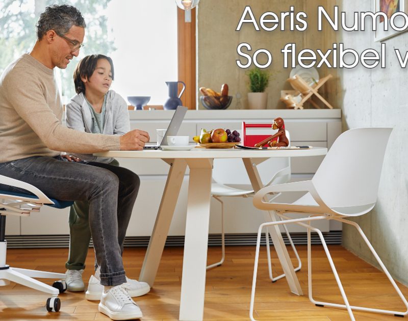 Aeris Numo Task So flexibel wie wir sitz-art Berlin